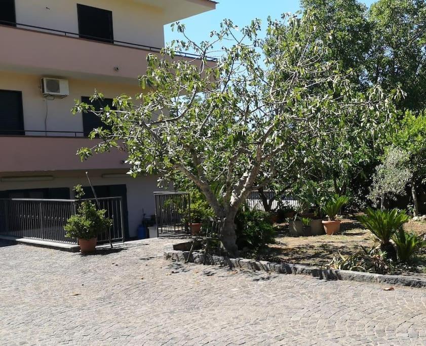 Villa Daniela Sarno Exterior foto